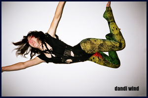 dandi wind.com